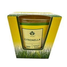 Arôme Set Citronella sviečky a difuzér 50 ml