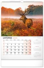 Notique Nástenný kalendár Poľovnícky 2025, 33 x 46 cm