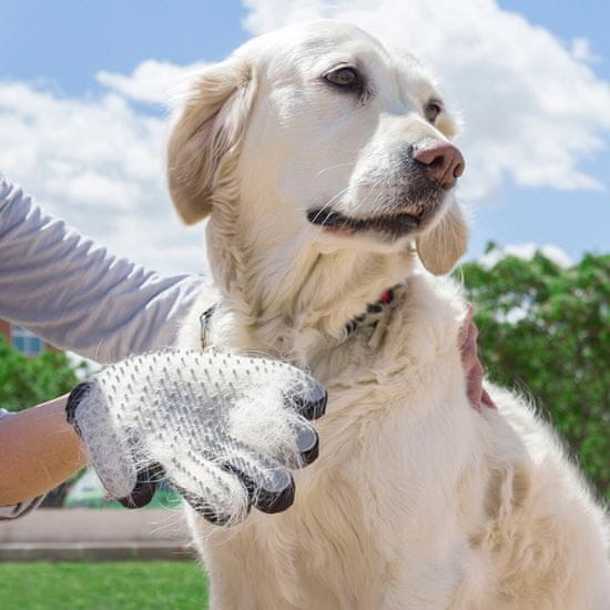 InnovaGoods Pet Brush & Massage Glove Relpet InnovaGoods