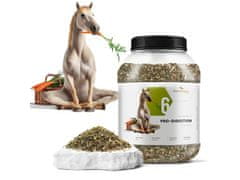 sarcia.eu Phytoseo bylinná zmes PHYTO HORSE 6 - trávenie - 1,4 kg 