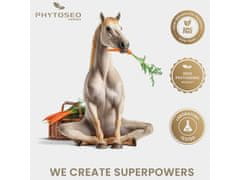 sarcia.eu Phytoseo bylinná zmes PHYTO HORSE 6 - trávenie - 1,4 kg 