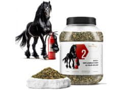 sarcia.eu Phytoseo bylinná zmes PHYTO HORSE 2 - protizápalová - 1,2 kg 