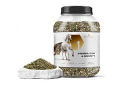 sarcia.eu Phytoseo bylinná zmes PHYTO HORSE 1 - regenerácia a imunita - 1,4 kg 