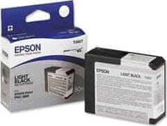 Epson Epson T580 Light Black (80 ml)