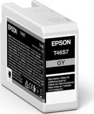 Epson Epson Singlepack Gray T46S7 Ultrachrome