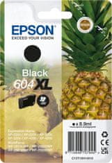Epson Singlepack Black 604XL Ink