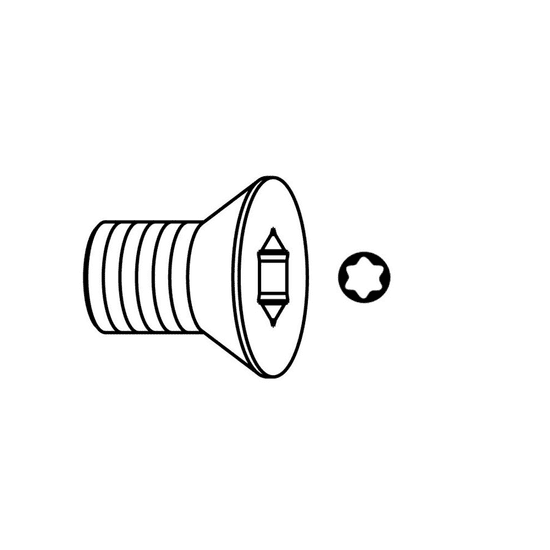 Igm Professional Skrutka - Typ:12 M3,5x5x7,2 D8,8 Torx15 (F099-23500)