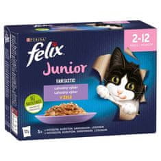 Felix Fantastic JUNIOR Multipack kapsička 12x85g hovädzie, kura, sardinky, losos v želé