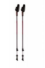 Blizzard Trekové palice Blizzard Alu Performance Nordic Walking