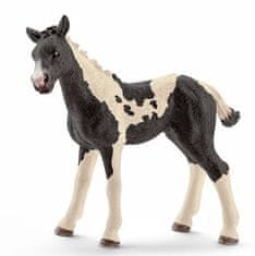 Schleich Horse Club 13803 Kôň Pinto - žriebä