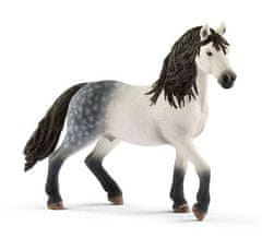 Schleich Horse Club 13821 Andalúzsky kôň - žrebec