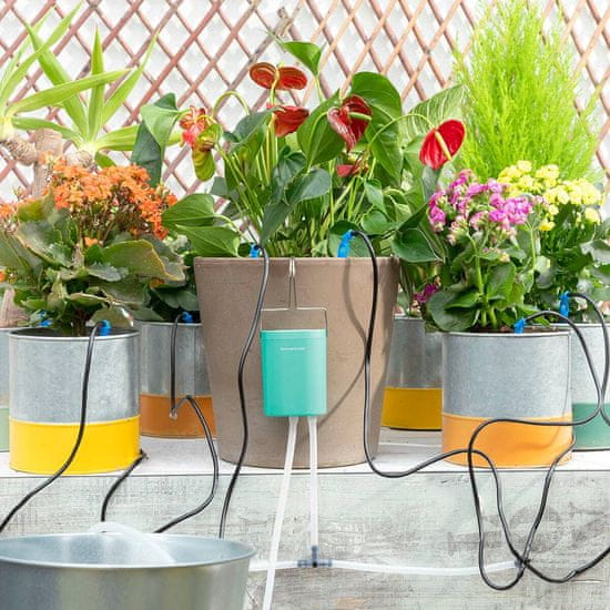 InnovaGoods Automatic Drip Watering System for Plant Pots Regott InnovaGoods