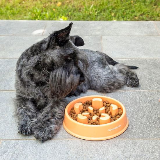 InnovaGoods Slow Eating Food Bowl for Pets Slowfi InnovaGoods