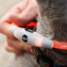 InnovaGoods LED Collar for Pets Petlux InnovaGoods 