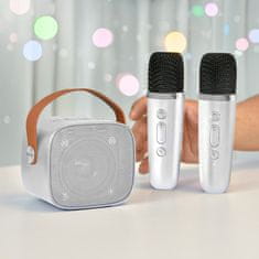Northix Prenosná súprava karaoke s bezdrôtovými mikrofónmi 