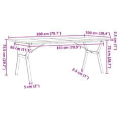 Petromila vidaXL Jedálenský stolík v tvare Y 200x100x75,5 cm borovica a liatina