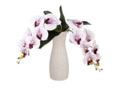 sarcia.eu Béžová keramická váza na kvety, kávová váza 11,4x11,4x28,1cm 