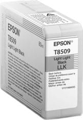 Epson Epson Singlepack Photo Light Light Black T850900 UltraChrome HD ink 80ml