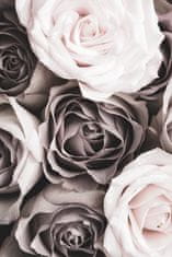 Pelcasa Roses - 70x100 cm 