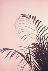 Pelcasa Palm Leaves_1 - 21x30 cm 