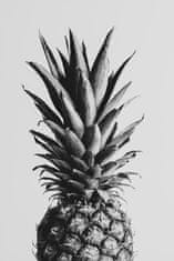 Pelcasa Pineapple Black Aamp White 02 - 50x70 cm 