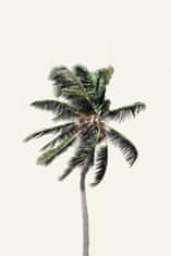 Pelcasa Windy Palm Tree - 70x100 cm 