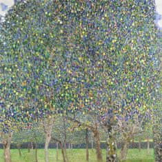 Pelcasa Pear Tree (1903) - 21x30 cm 