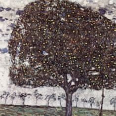 Pelcasa Der Apfelbaum (1916) - 21x30 cm 