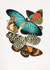 Pelcasa Butterflies 1 - 21x30 cm 