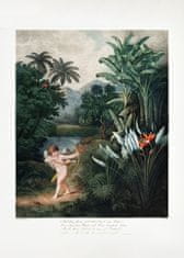 Pelcasa Cupid Inspiring Plants With Love From The Temple Of Flora (1807) - 30x40 cm 