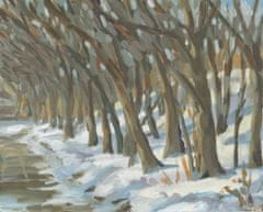 Pelcasa Winter Trees - 30x40 cm 