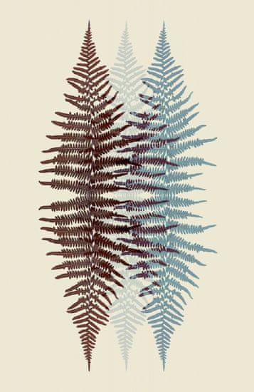 Pelcasa Chocolate And Teal Fern - 30x40 cm