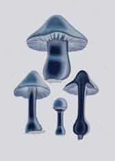 Pelcasa Agaricus Bulbosus - Blue - 50x70 cm 