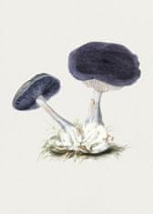 Pelcasa Vintage Violet Webcap Mushroom - 30x40 cm 