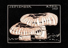 Pelcasa September 1917 - 21x30 cm 