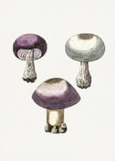 Pelcasa Hand Darwn Violet Webcap Mushroom - 70x100 cm 