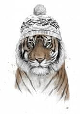 Pelcasa Siberian Tiger - 50x70 cm 