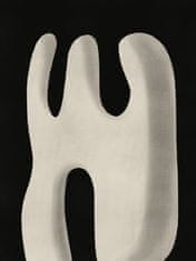 Pelcasa Abstract White Sculpture Scream - 30x40 cm 