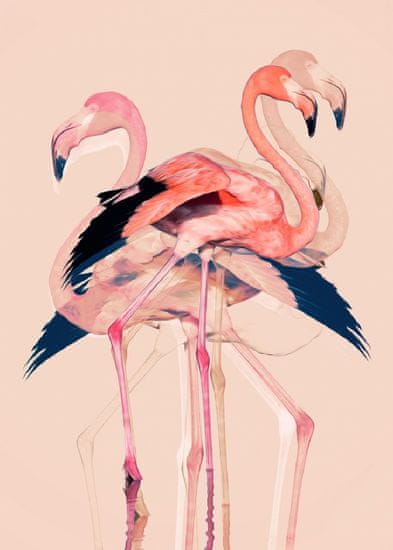 Pelcasa Flamingos Nr. 3 - 30x40 cm