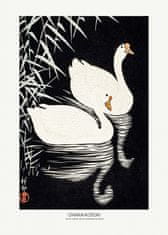 Pelcasa White Chinese Geese Swimming By Reeds - 21x30 cm 