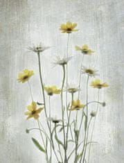 Pelcasa Summer Flowers - 70x100 cm 