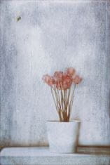 Pelcasa When Summer'S Gone... - 70x100 cm 