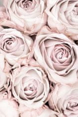 Pelcasa Pink Roses No 01 - 30x40 cm 