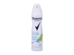 Rexona Rexona - MotionSense Stay Fresh Blue Poppy & Apple - For Women, 150 ml 