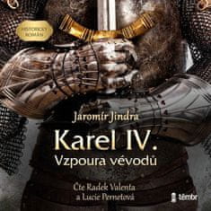 Jaromír Jindra: Karel IV. – Vzpoura vévodů - audioknihovna