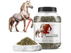 sarcia.eu Fytoseo bylinná zmes PHYTO HORSE 4 - pružné svaly a kĺby - 1,1 kg 