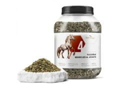 sarcia.eu Fytoseo bylinná zmes PHYTO HORSE 4 - pružné svaly a kĺby - 1,1 kg 