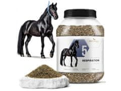 sarcia.eu Fytoseo bylinná zmes PHYTO HORSE 5 - na dýchacie cesty - 1,1 kg 