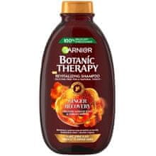 Garnier GARNIER - Botanic Therapy Revitalizing Shampoo (dull and fine hair) - Revitalizing shampoo with ginger and honey 400ml 