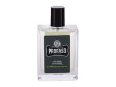 Proraso Proraso - Cypress & Vetyver - For Men, 100 ml 